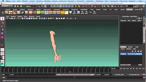 The follow through action can almost be disregarded with some thing small such as a bird and no one would comment about it. Animation Tutorial - Follow Through and Overlapping Action ...