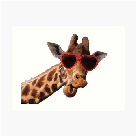 Cool Giraffe Wearing Sunglasses Fun Humour Comedy Art Print By