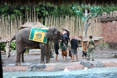At Bali Safari And Marine Park Watching The Elephant Show W Flickr
