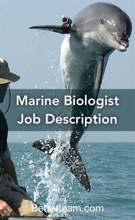 Marine Biologist Job Description