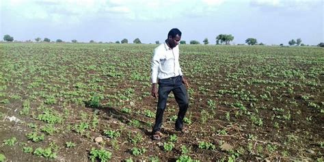 This Software Engineer Travels 700 Km To Do Organic Farming In His Village