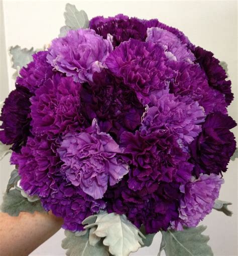 carnation purple wedding bouquets purple carnation bouquet purple carnations
