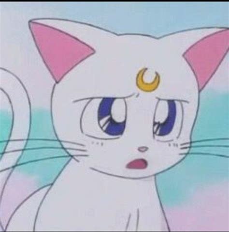 Pin By Alleykawaii💕 On Sailor Moon Sailor Moon Cat Sailor Moon