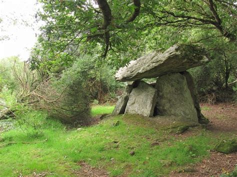 Gaulstown Burial Chamber Transceltic Home Of The Celtic Nations