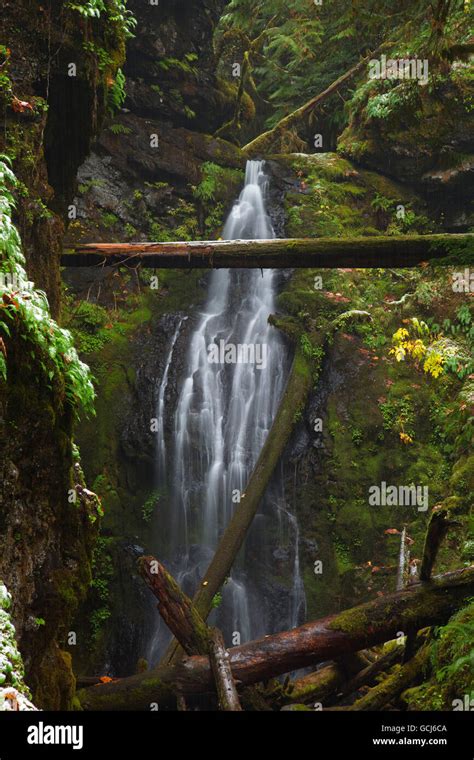 Trestle Creek Falls Umpqua National Forest Oregon Stock Photo Alamy