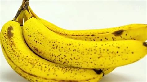 Bananas Might Be Going Extinct Youtube