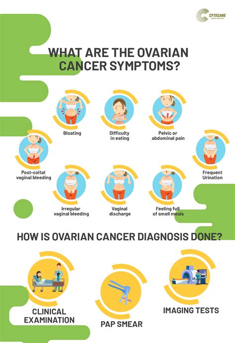 Ovarian Cancer Causes