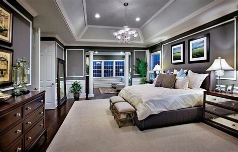 Tray Ceiling Decorating Ideas Houses
