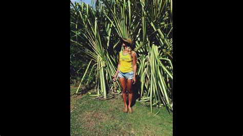 Beyonce New Tumblr Photos In Jamaica Youtube