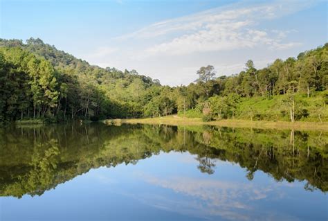 Premium Photo Pang Oung National Park Beautiful Forest Lake In The