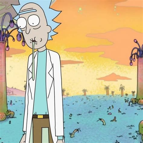 Pin By Piettrowoo On Couple Rick And Morty Cartoon Pics Anime