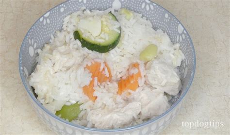 1 chicken, rice and veggies. Chicken and Rice Recipe for Dogs with Sensitive Stomach ...