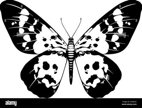 Butterfly Silhouette Illustration Stock Vector Image And Art Alamy