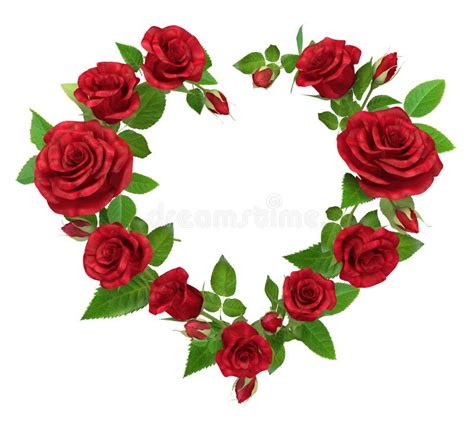 Red Rose Frame In The Shape Of Heart On White Stock Illustration