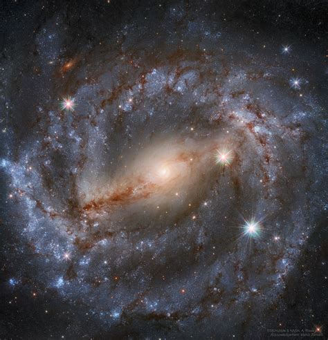 Ngc 4394 es la galaxia espiral barrada arquetípica, con brillantes brazos espirales que emergen de los extremos de una. APOD: 2020 October 5 - NGC 5643: Nearby Spiral Galaxy from ...