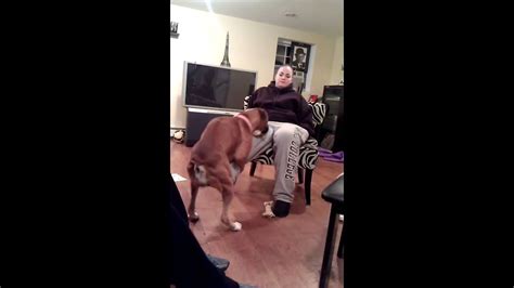 Girl Lets Honey The Boxer Dog Hump Her Youtube
