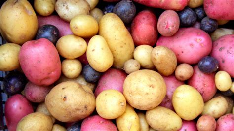 Top 5 Types Of Potatoes And When To Use Them