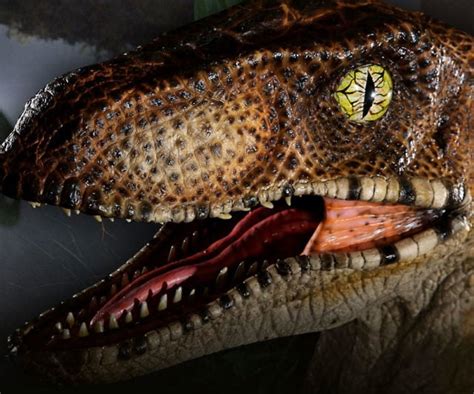 Jurassic Park Raptor Replica Bust
