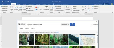 Bing Updates Image Search For Office And Edge Bing