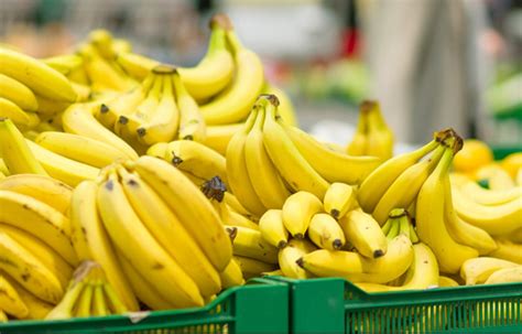 Sebagai contoh, pisang tanduk sesuai dibuat kerepak manakala pisang abu sesuai dijgoreng dengan salutan tepung. 19+ Macam Jenis Pisang dan Manfaatnya yang Banyak Dijual ...