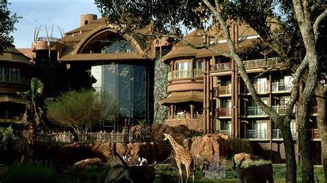 Animal Kingdom Lodge Review O Melhor Resort De Luxo Da Disney
