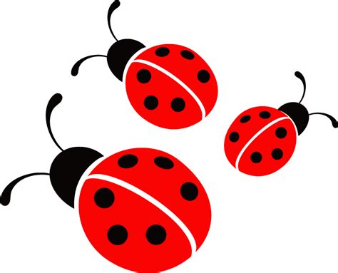 Ladybug Vector Image Ladybug Png Clipart Full Size Cl