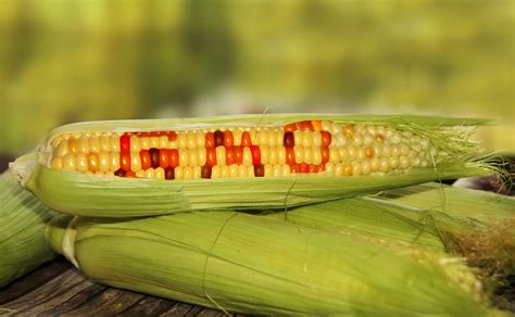 Gmo Seeds Finally Seen For What They Are Naturalhealth365