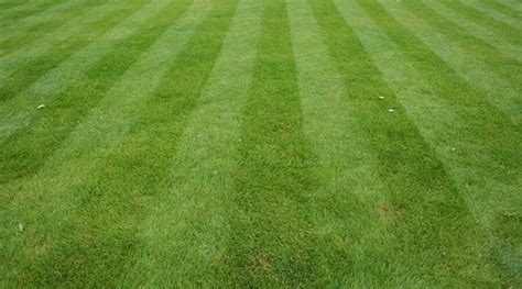 How To Mow Your Lawn 5 Different Patterns Simplify Gardening