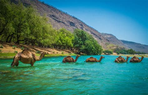 Oman Travel Guide Places To Visit In Oman Rough Guides