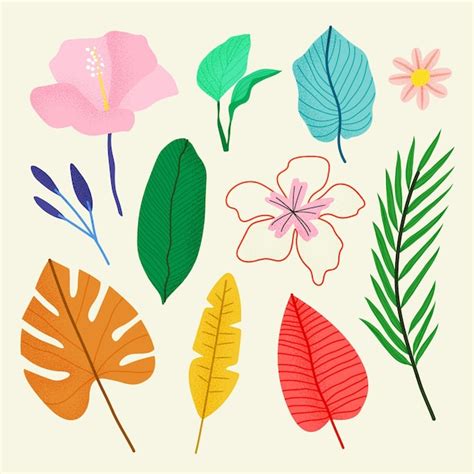 Free Vector Tropical Flower And Leaves Collection