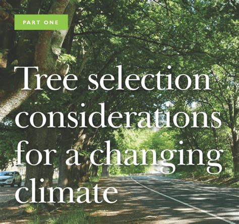 Tree Selection Considerations For A Changing Climate Treelogic