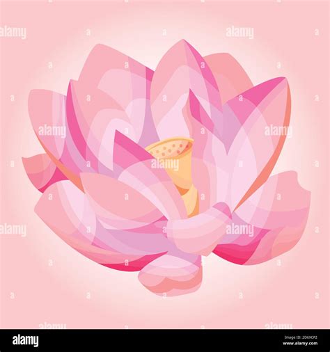 Vector Illustration Of A Lotus Stock Vector Image Art Alamy