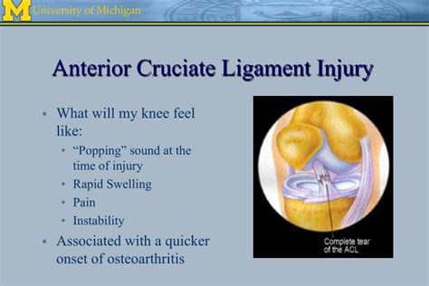 Ppt Anatomy Of And Injuries To The Knee Joint Complex Powerpoint