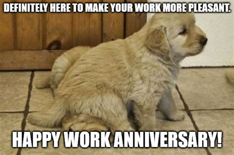 Work Anniversary Meme Funny 46 Grumpy Cat Approved Work Anniversary