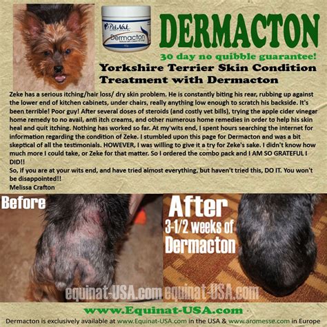 Pin On Itchy Dogs With Red Sore Skin And Hair Loss Get Relief With