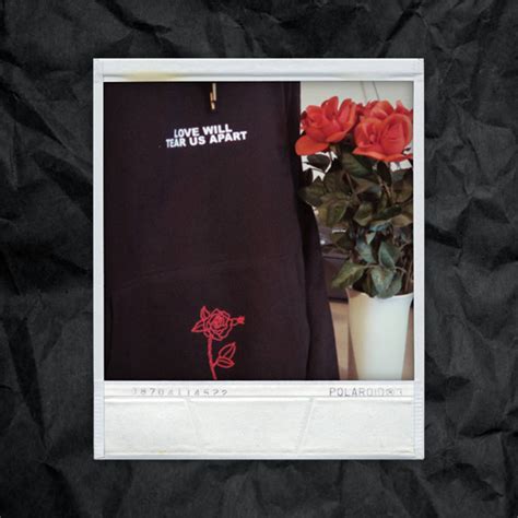 2019 Wholesale Love Will Tear Us Apart Rose Hoodie Sweatshirt Black Tumblr Inspired Aesthetic
