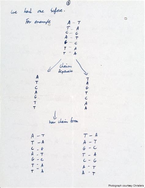 Francis Crick Dna Discovery His Letter Sold My Letters Kept