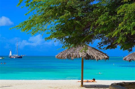 Palm Beach Bãi Biển Palm Eagle Aruba Đánh Giá Tripadvisor