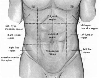 Abdominal pain in the lower left side is more commonly noticed than in the right side. The Human Body in Health and Disease Flashcards | Easy ...