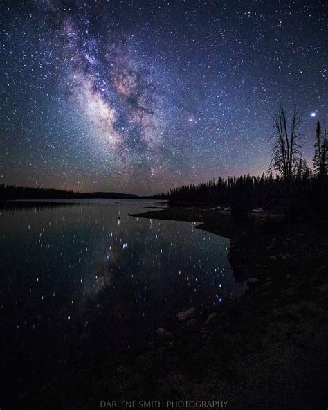 Starry Night By Darlene Smith Infinity On High Star Light Star Bright