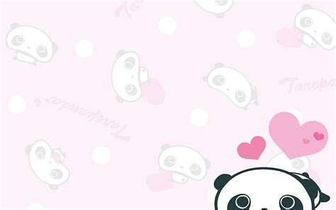 Tarepanda Kawaii Panda Hd Wallpaper Pxfuel