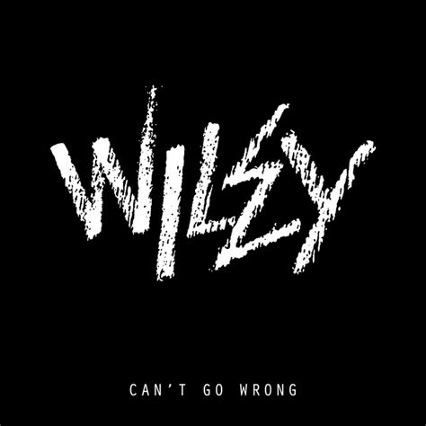 Cant Go Wrong Song And Lyrics By Wiley Spotify