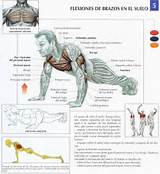 Bodybuilding Training Manual Pdf Images