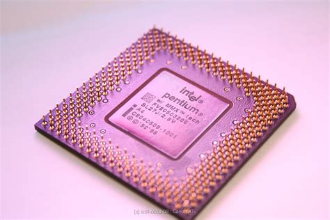 Intel Processor Pentium Mmx Pentium 1 Processor Mr Mab Surviving