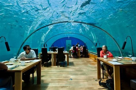 8 Best Underwater Hotels For A Luxury Aquatic Getaway Man Of Many