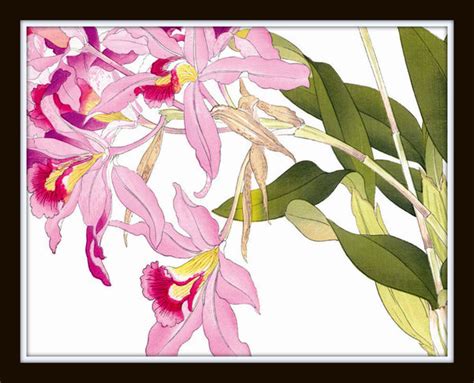 Tropical Woodblock Orchids Botanical Print Set No 20 Bellebotanica
