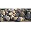 Boulders Find Great For Any Landscape Project