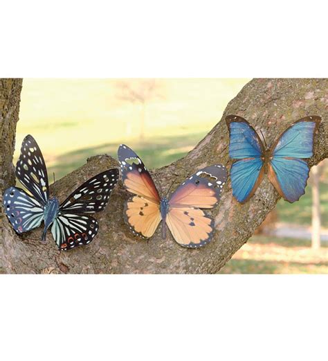 Tropical Butterfly Metal Wall Art Black Wind And Weather