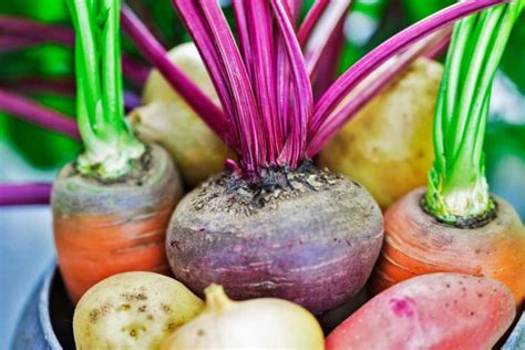 List Of The 6 Favorite Root Vegetables On The Table