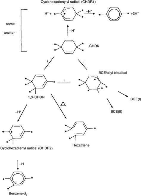 The Photochemistry Of 14 Cyclohexadiene In Solution And In The Gas
